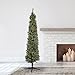 Home Heritage 7ft Stanley Slim Pre-Lit Pencil Christmas Tree – Artificial Pine with 350 White Incandescent Lights and 335 Branch Tips – Indoor Holiday Decor