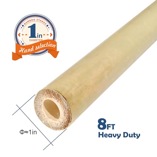 Image of COLOtime 8FT Bamboo Stakes Plant Stakes 1 Inch Thick Diameter Garden Stakes Heavy Duty for Plant Support Outdoor Climbing Plants Support Gardening Stakes 10 Pack
