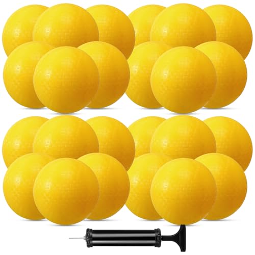 CACASO 24 Pcs Playground Balls,6 Inch Inflatable Dodge Balls,Sport Bouncy Balls with a Hand Pump,Dodgeball Balls for Indoors Outdoors Ball Games,Gym,School,Camps,Picnic