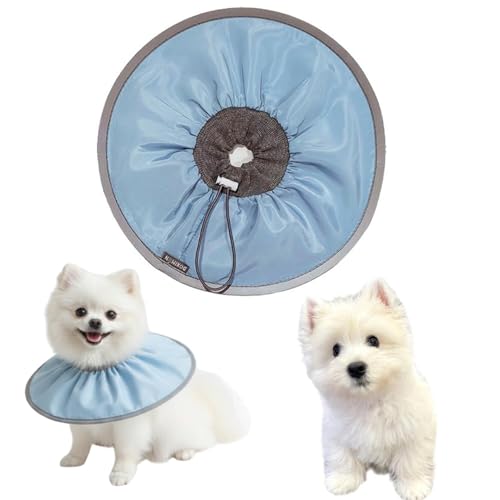 LifetipsEGXgnChzCgeA Lp GUxXJ[ h \tg y pPA ی Ȃߖh~ p EȒP 􂦂 PAJ[(xr[u[j(Lj