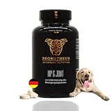 Gelenktabletten Hund - Made in Germany | 120 Kautabletten | Natürliche Hunde Gelenkkapseln Gelenk-Tabletten Vitamine für Gelenkschutz von Hunden Schmerzlinderung bei Senioren für Hunde Klein Groß