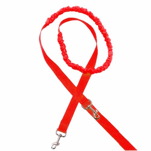 homozy – Tênis elástico de nylon para corrida e caminhada – Vermelho, 145 – 190 cm