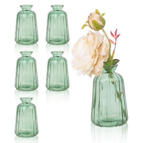 6 Stück Kleine Vasen für Tischdeko Mini Glasvase Set für Tischdeko Hochzeit (11× 6,5cm, hellgrün)