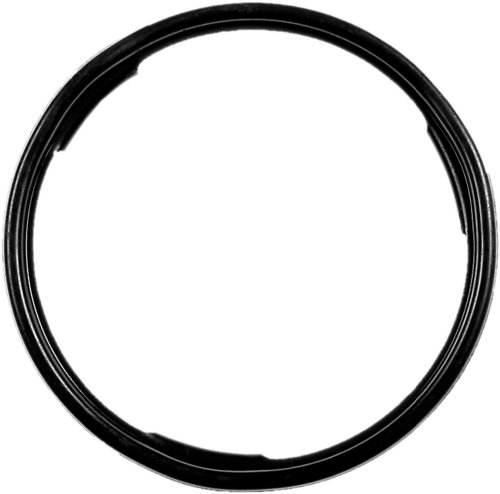 GM Genuine Parts G10 (22515965) Fuel Tank Sending Unit O-Ring by GM GENUINE PARTS - Used condition - US$5.85