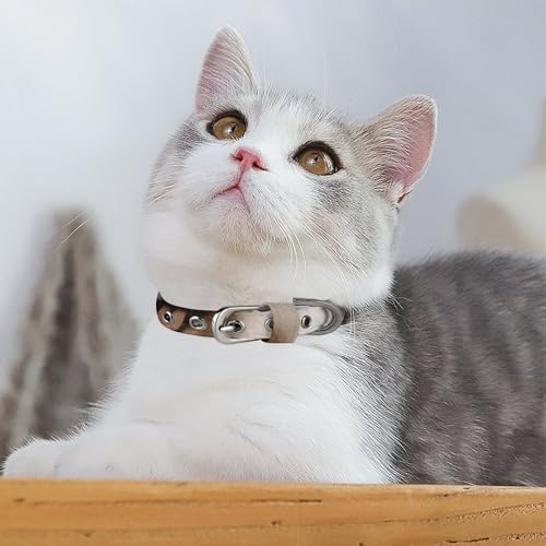 Collier réglable chien et chat petite taille ajustable - 6