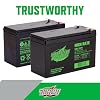 Interstate Batteries 12V 9Ah High Rate Battery (F2 Terminal) SLA AGM VRLA Rechargeable Replacement for APC Smart-UPS, UPS Back Up Systems, Security, Medical Devices (HSL1079)