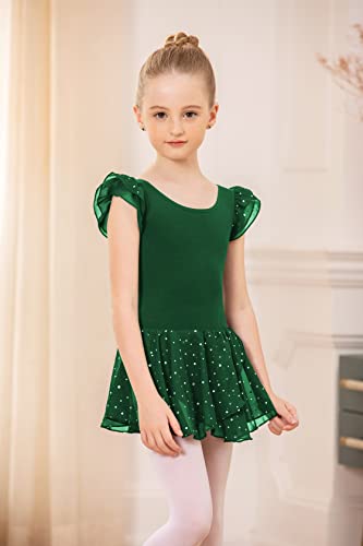 Image of Arshiner Girls Ruffle Sleeve Ballet Dance Dress Tutu Skirted Leotard