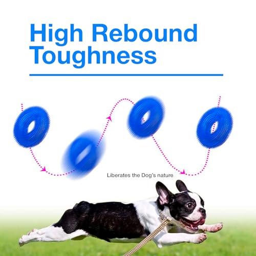 Image of Squeaky Ring Toy|Non- Toxic and Durable Squeaky Ring Shaped Ring Toy |Soft Natural Rubber Toy for Chewing and Dentle Cleaning (Blue, Size Medium)