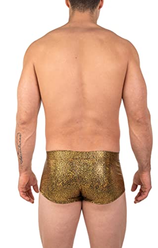 Gary Majdell Sport Mens New Printed Hot Body Boxer Swimsuit4