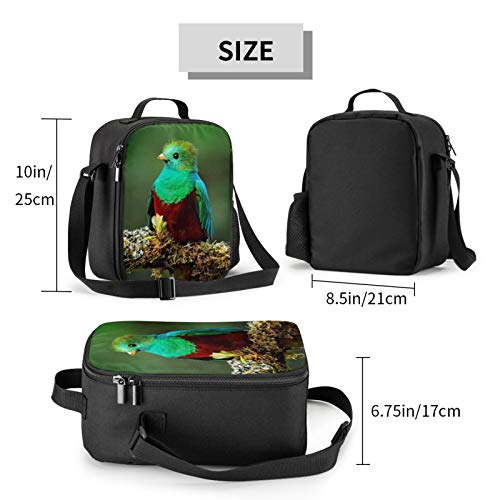 Bird Lunch Box - Insulated Lunch Box for Kids with Side Pocket & Shoulder Strap Lunch Bag, Perfect for School/Camping/Hiking/Picnic/Beach/Travel