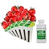 AeroGarden 806501 0208 Heirloom Cherry Tomato Seed Kit 6 pod GreenRed