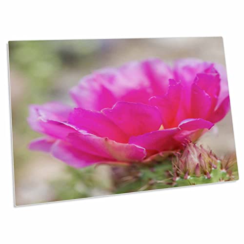 Alfombrilla de escritorio 3dRose cactus rosa grande