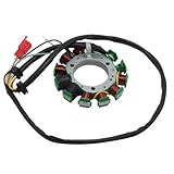 Zoom IMG-1 yaqemoe moto statore bobina per