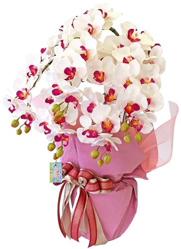 山久 造花 豪華ラッピング付 シルクフラワーの胡蝶蘭 ホワイトオーキッド 5本立 鉢黒 光触媒加工 常滑陶鉢の鉢植 新築祝い 開店祝い ギフト プレゼント フラワーギフト