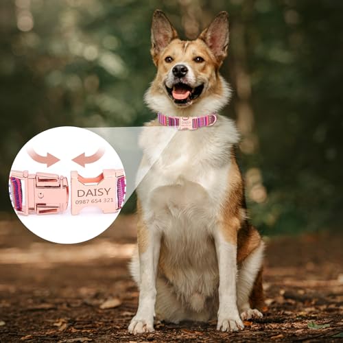 Collares Y Correas, Pet Products Imagen adicional