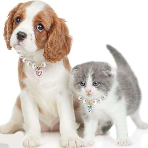 Qianyu 2 Stück Perlenhalsband für Katzen und Hunde Herzförmig Schmuck Haustier Halskette Verstellbarer Umhängegurt Ausgefallene Hochzeit Geburtstagsparty Haustier-Kleid Zubehör Halsband