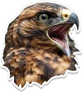 GT Graphics Hawk - 3