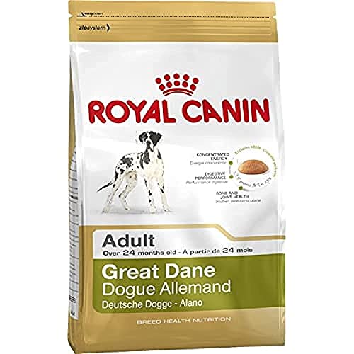 Royal Canin Great Dane 24 Adult 12 kg, 1er Pack (1 x 12 kg)