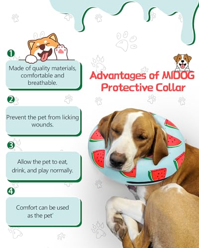 Image of MIDOG Inflatable Dog Cone Alternative for After Surgery - Soft Protective Donut Collar Prevents Licking, Comfortable Recovery E-Collar Alternative for Small Medium Large Dogs (Watermelon,XL)