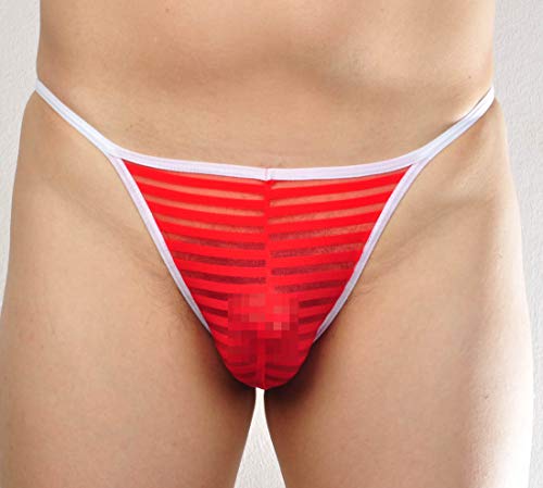 Men's See Through Cheeky Briefs Underwear Sexy Stripe Mesh String Bikini Briefs4
