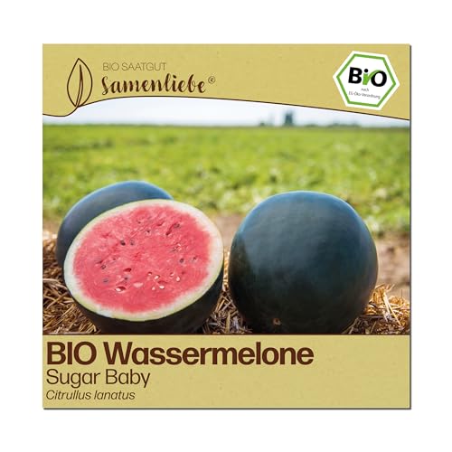 Samenliebe BIO Wassermelonen Samen | Melone Sugar Baby - sehr süß & klein - samenfestes BIO Saatgut