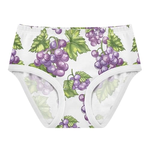 ZZKKO Purple Grape Bunches Girls Underwear Toddler Panties for Girls Comfort Brief Size 2-8T