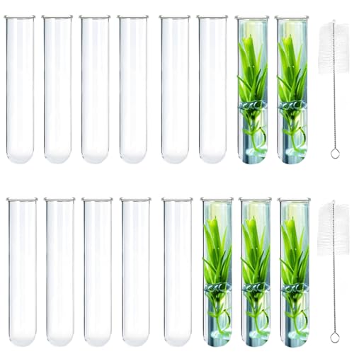 Dhieong Glass Tubes