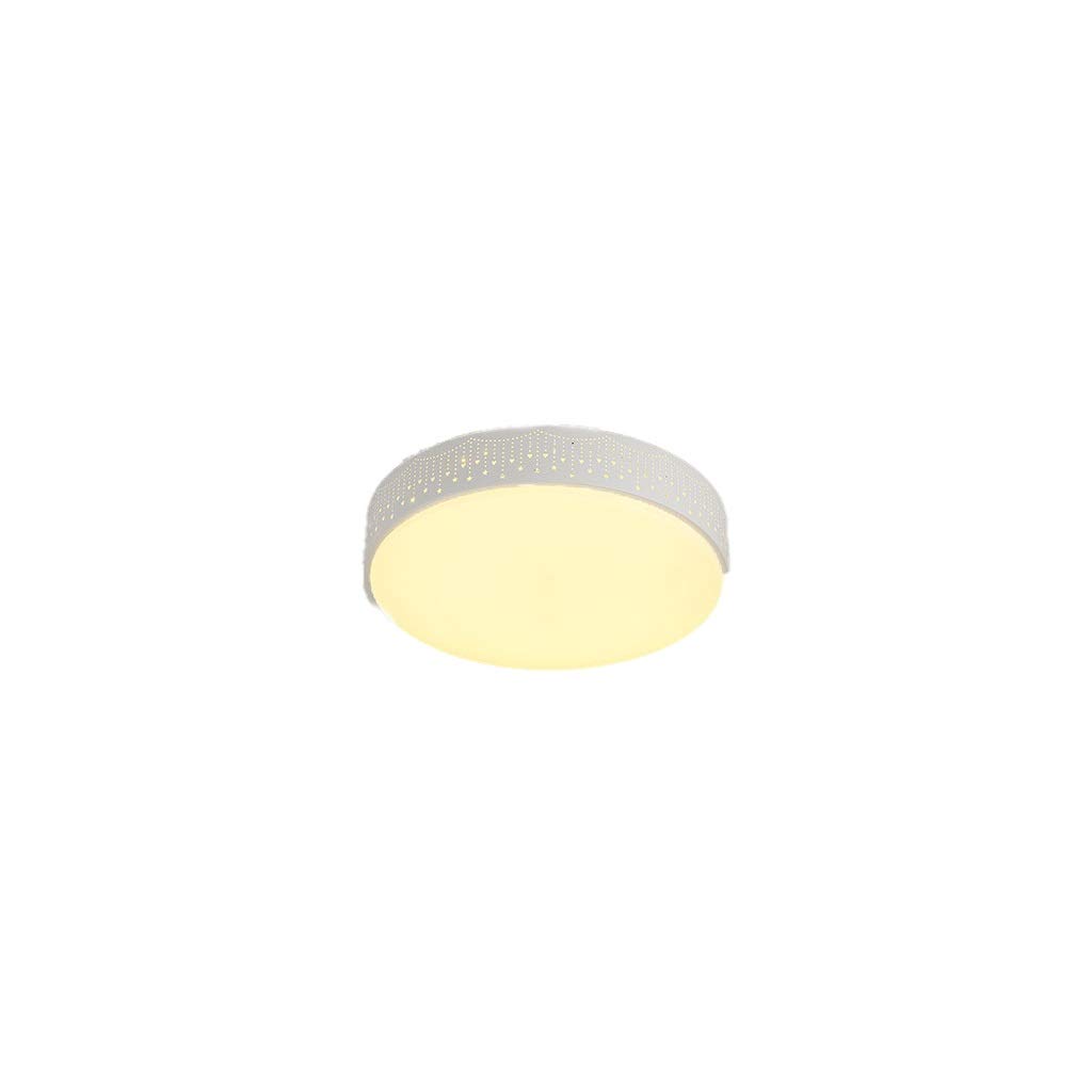 HynJGih Led Ceiling Lamp Round Bedroom Lamp Simple Modern Living Room Lighting Home Creative Balcony Restaurant Lighting(C,Stepless dimming)