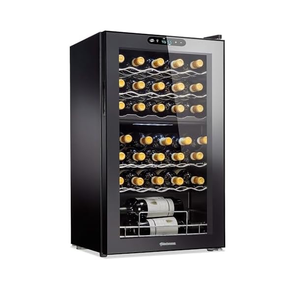 Wine Enthusiast 32-Bottle Dual Zone MAX Compressor Wine Cooler – Freestanding Refrigerator with Split Storage & Temperature, Digital Touchscreen, & LED Display