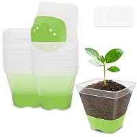 BEIUEN Pack of 20 8 cm Propagation Pots Plant Pots Transparent with Silicone Base. Reusable Plastic Square Anzuchttöpfe Transparent for Succulents, Seedlings