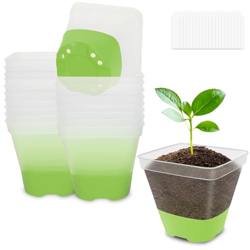 BEIUEN Pack of 20 8 cm Propagation Pots Plant Pots Transparent with Silicone Base. Reusable Plastic Square Anzuchttöpfe Transparent for Succulents, Seedlings