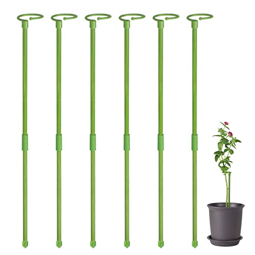 Monstera 6 tuteurs ronds pour plantes grimpantes 60 cm | Support pour plantes hautes et fleurs | Tuteurs pour orchidées, amaryllis, pivoines, poivrons, etc
