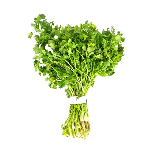 Premium Coriander Leaves 1 Bunch