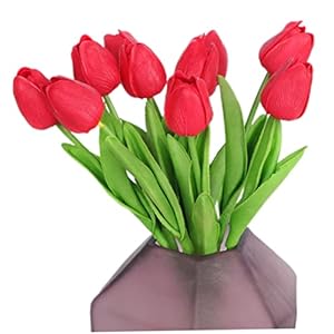 20 bulbo di tulipano, bulbi di tulipano perenni rosso luminoso puro, fiori rossi come nuvole al tramonto, impressione rossa, ornamenti per decorazione della casa