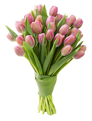 Blooms2Door 30 Pink Tulips