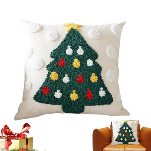 Taies d'oreiller de Noël YRYRYW : housses de coussin carrées douces pour lit et canapé