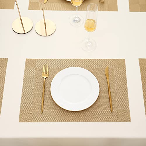 Image of HOKIPO PVC Washable 6 Pieces Dining Table Mats - 45x30 cm (AR3040)
