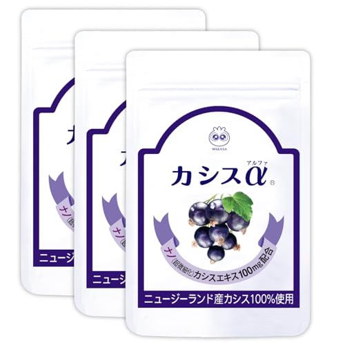 yz 킩 JVX  31 i3j 3 JVXTvg 1 1 j[W[h Y xA[h imi׉jJVXGLX m z z120Abv