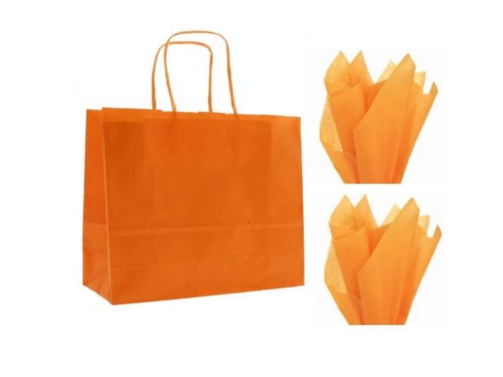 30 x Landscape Large Paper Party Gift Bags - Boutique Shop Bag & Tissue Wrap (Orange)