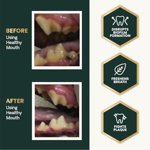 Image of VetriScience Dental Care Powder for Dogs & Cats - Helps Reduce Plaque & Tartar Buildup, Clean Teeth & Fresher Breath, Clinically Tested, Vet-Formulated Oral Supplement, 4.2 oz - 2 Pack