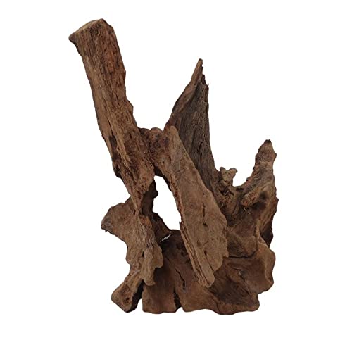 AquaOne Acuario Raíz Decoración XL Raíz de Manglar Aquascaping Madera Auténtica Nº 6643 Madera Decoración Plantas Acuáticas Paisaje Musgo Naturaleza Cover