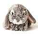 Uni-Toys - Widderkaninchen, liegend (grau) - 18 cm (Länge) - Plüsch-Hase, Kaninchen - Plüschtier, Kuscheltier