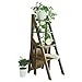 ZLL - Klappstufen Klappbarer Stufenhocker aus Holz 4-stufiger Holzleiter-Stuhl Bibliothekstreppenhocker Mehrzweck für Haushalt und Büro Tragbarer Leiterhocker Blumenregal Schaufensterregal