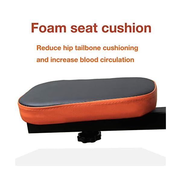 Ps Squat Exercise Rowing Machine, Row n Ride core Cardio Training Equipment glute Workout Home & ab Squat Assist Gym