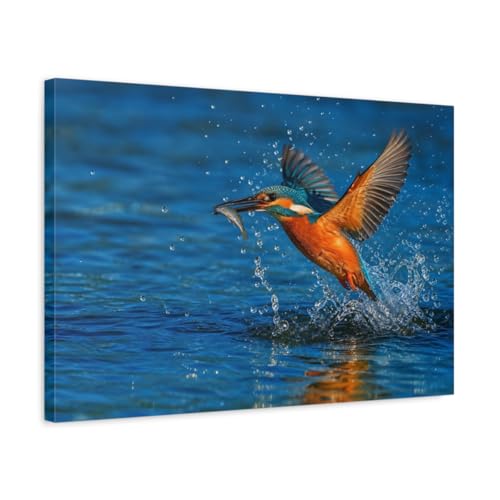 Tableau martin-pêcheur bleu grand format 60x40 cm décoration murale
