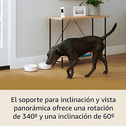 Mejores precios y opiniones de Ring stick up los más solicitados. 13 Imagen adicional
