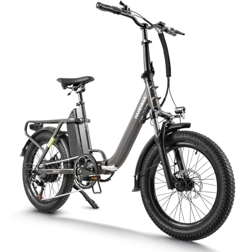 HANEVEAR H6-Light E Bike Klapprad, Elektrofahrräder mit Drehmomentsensor | 14,5Ah 48V Große Akku bis zu 120km+ | 55N.m 250W-Motor | 3.0'' Fat E-Bike, Off-Road Pedelec EBike Herren Damen (Rotgussgrau)