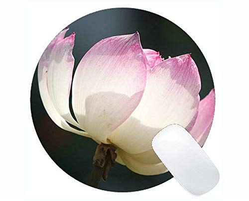 Zen Lotus Flower�t���[�����Q�[�~���O���E���h�}�E�X�p�b�h - �X�e�b�`�G�b�W�������[�^�X���E���h�}�E�X�p�b�h