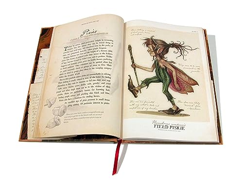 Arthur Spiderwick's Field Guide to the Fantastical World Around You