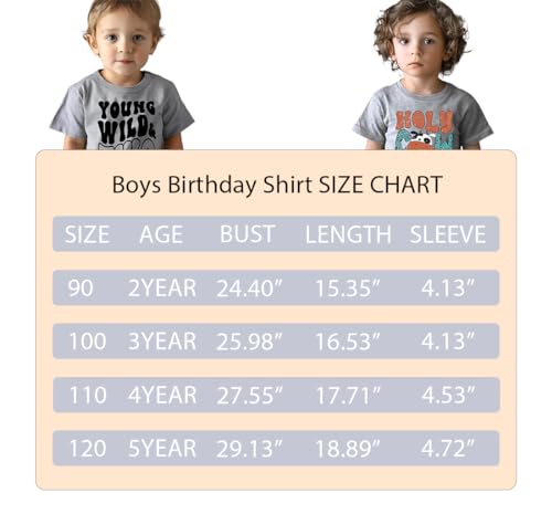 2nd Birthday Tee Shirt Toddler Boy Two Year Old Birthday Tshirt Outfit3